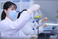巾幗不讓須眉，她們獲省級巾幗文明崗榮譽
